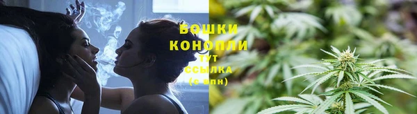 кокс Белокуриха