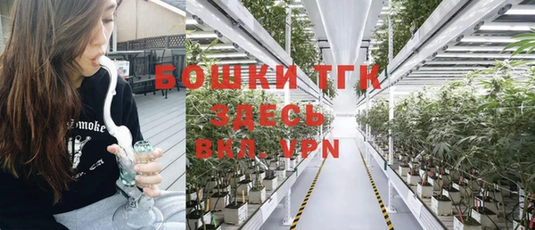 кокс Белокуриха
