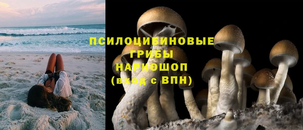 кокс Белокуриха